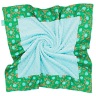 Emerald Fete with Saltwater Minky Baby Blankie