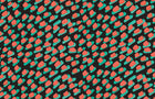 Mink Together Fabric