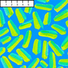 Matisse Zesty Fabric