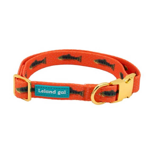 Grapefruit Trout Pet Collar, Med