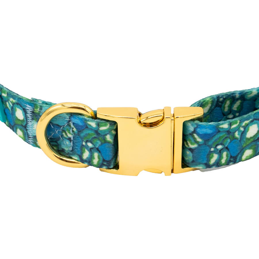 Leland Blue Pet Collar, Med
