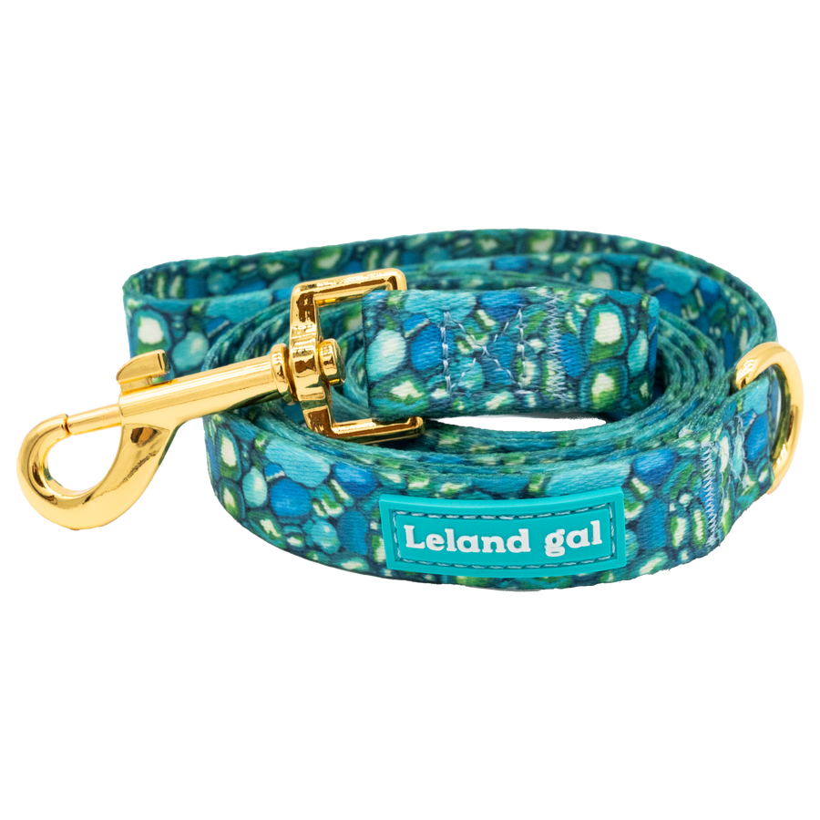 Leland Blue Pet Stroll Set, Med
