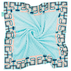 Navy This Way with Saltwater Minky Baby Blankie