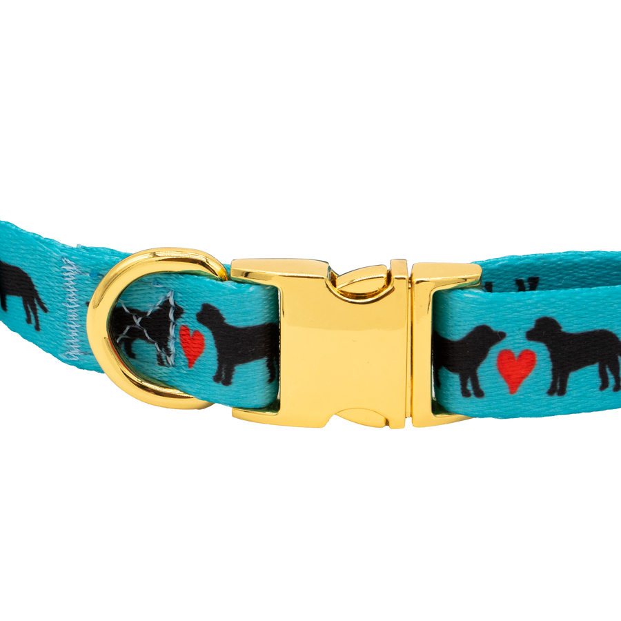 Turquoise Puppy Love Pet Collar, Med