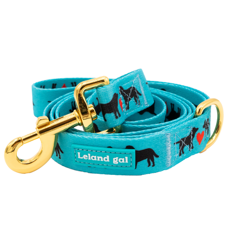 Turquoise Puppies Love Pet Leash, Lg