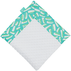 Turquoise Zesty with White Minky Baby Blankie