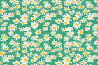 Jade Shasta Swing Fabric