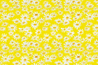 Yarrow Shasta Swing Fabric