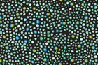 Mink Maidenhair Mambo Fabric