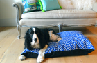 Blue Sapphire Key Large Dog Bed