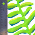 White Floating Fronds Fabric