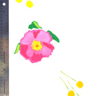 White Katherine’s Blooms Fabric