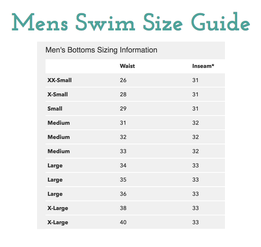 Pinstripe Men's Swim Trunks