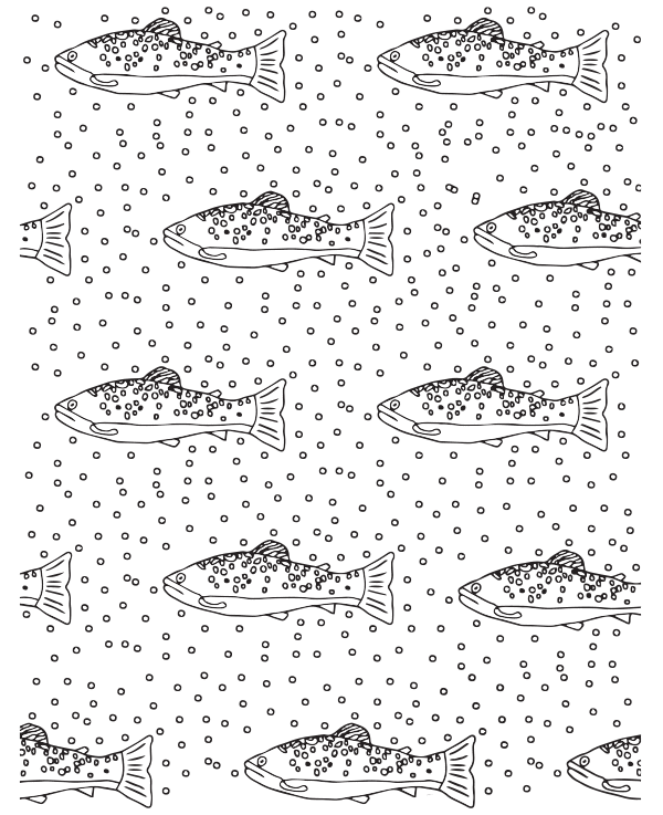 Trout Coloring Printable
