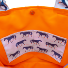 Big Blue/Orange Outside Bag
