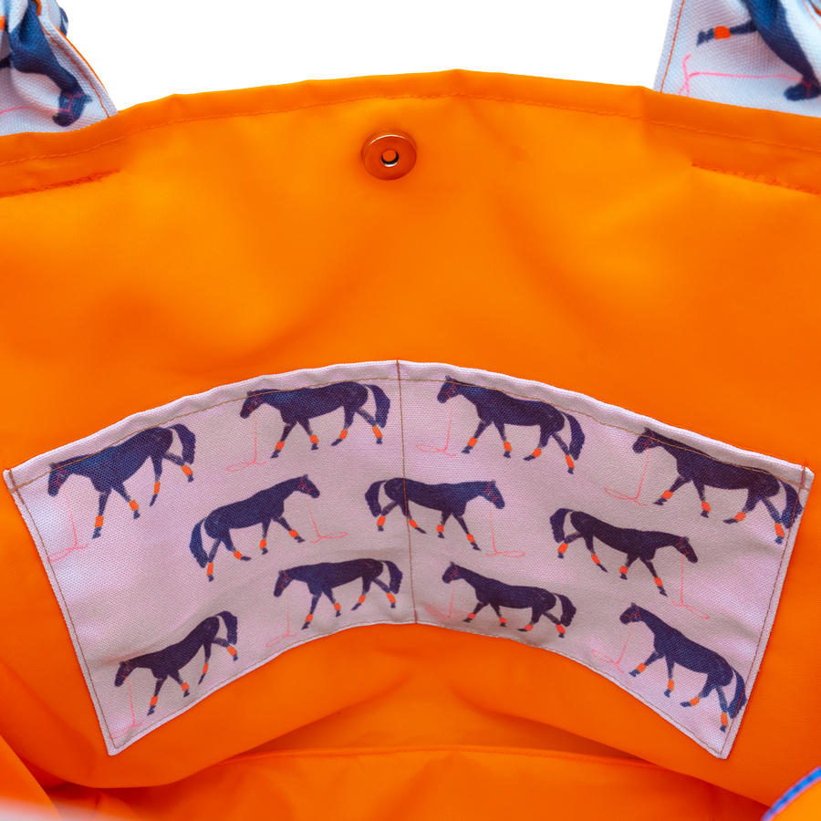 Big Blue/Orange Outside Bag