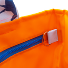 Big Blue/Orange Outside Bag