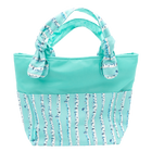 Cyan Birch Stripe/Aqua Outside Bag