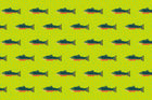 Citron Brook Trout Fabric