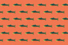 Grapefruit Brook Trout Fabric