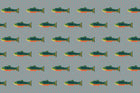 Mineral Brook Trout Fabric