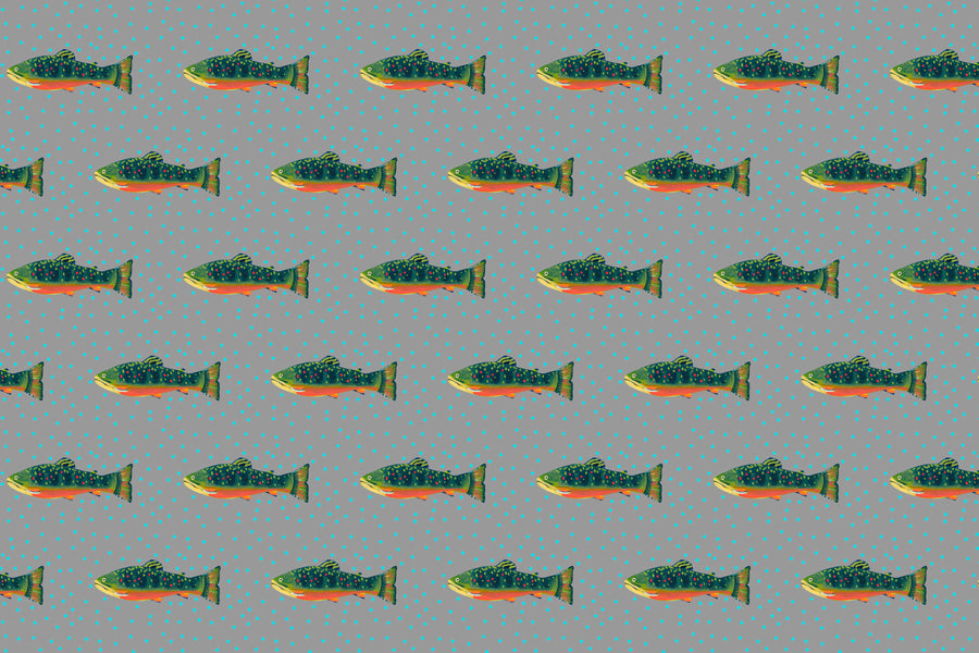 Mineral Brook Trout Fabric