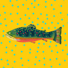 Sunshine Brook Trout Fabric