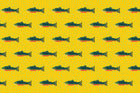 Sunshine Brook Trout Fabric