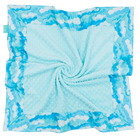 Buttermilk Skies with Light Blue Minky Baby Blankie