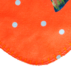 Grapefruit Brook Trout Sherpa