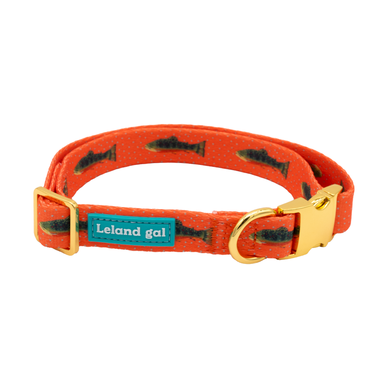 Grapefruit Trout Pet Collar, Med