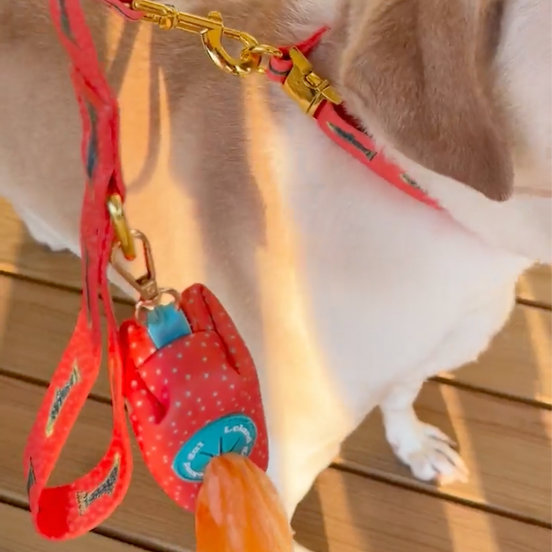 Grapefruit Trout Pet Leash, Med