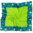 Leland Blue with Dark Lime Minky Baby Blankies