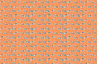 Soft Orange Done and Dusted Fabric