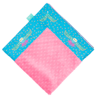 Surf Night Owl with Paris Pink Minky Baby Blankie