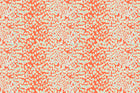 Tangerine Stardust Fabric