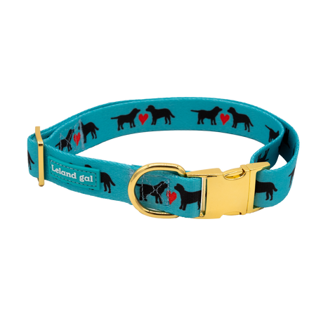 Turquoise Puppy Love Pet Collar, Lg