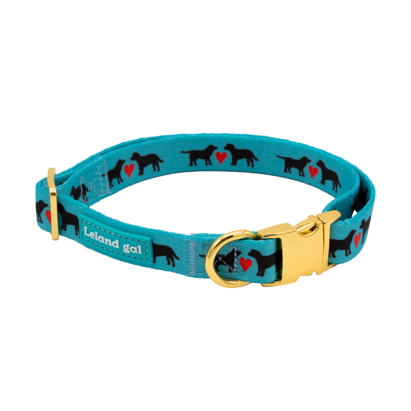 Turquoise Puppy Love Pet Collar, Med