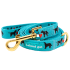 Turquoise Puppies Love Pet Leash, Med