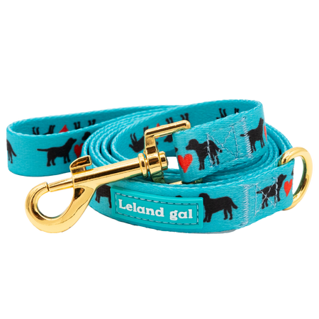 Turquoise Puppies Love Pet Leash, Med