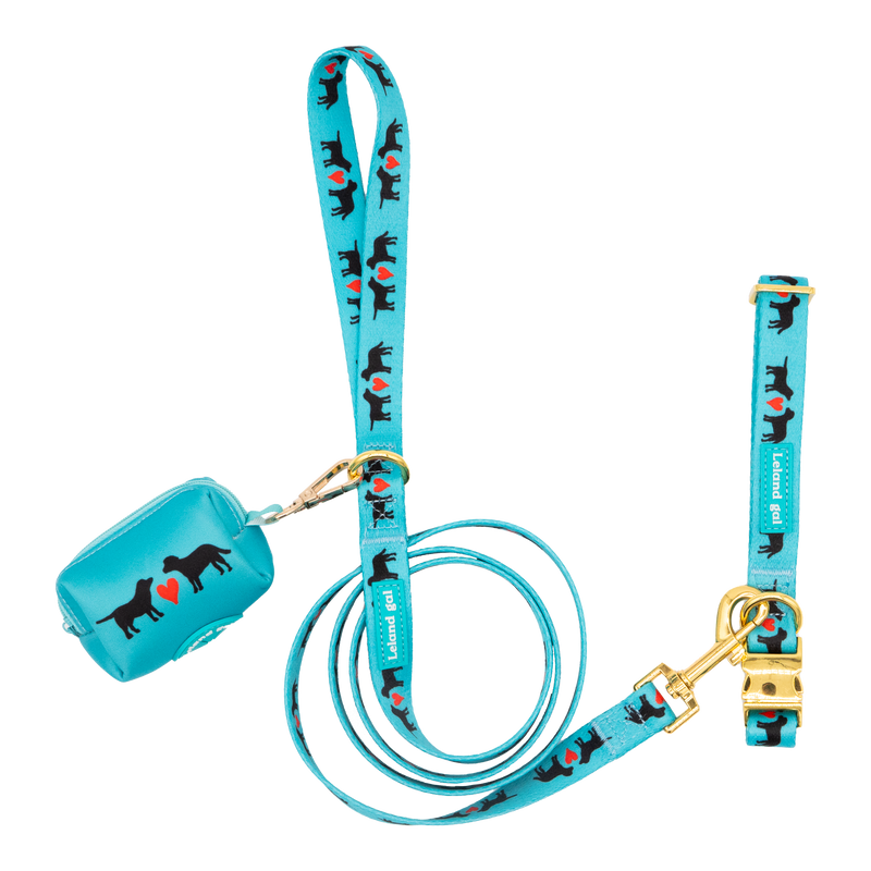 Turquoise Puppy Love Pet Stroll Set, Med