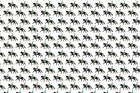 White The Walk Fabric