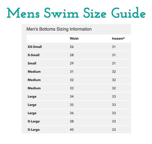 Navy Birch Stripe Men's Swim Trunks