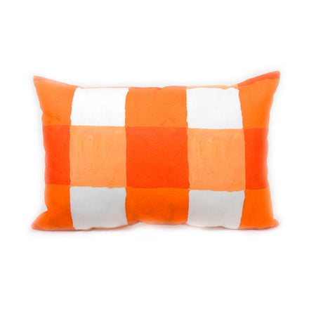 Outdoor Pillow - Lumbar - Citrus and White Buffalo Check