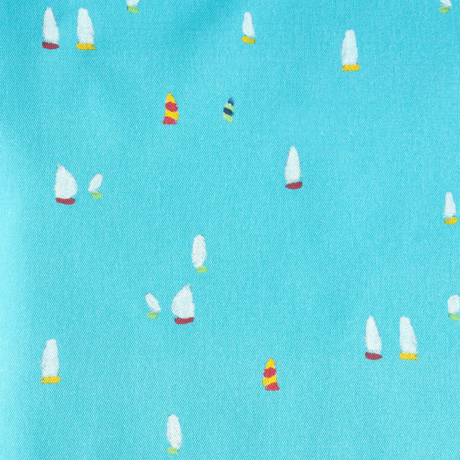 Aqua Chicago Mac Fabric